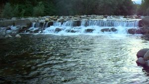 torrente cervo